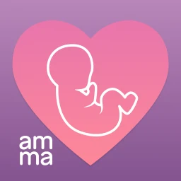 Icono de amma: calendario de embarazo